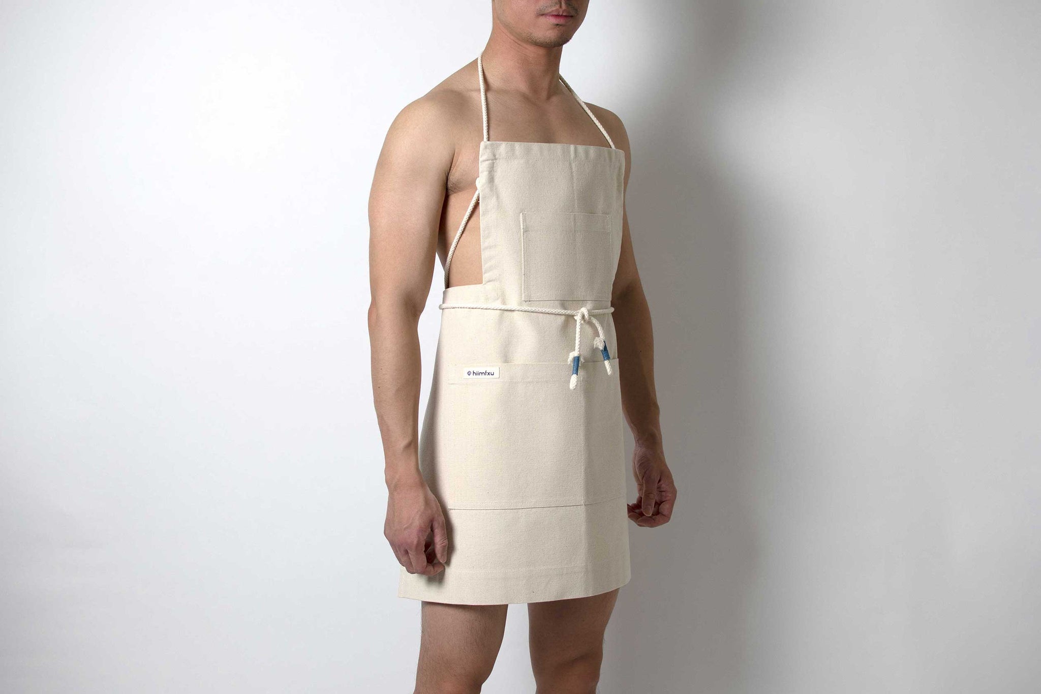 the carrier apron
